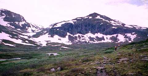 Vuoristomaisema